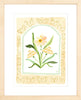 The "Botanical Rainbow Orange" Fine Art Print - Liza Pruitt