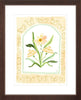 The "Botanical Rainbow Orange" Fine Art Print - Liza Pruitt