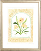 The "Botanical Rainbow Orange" Fine Art Print - Liza Pruitt