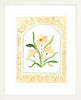 The "Botanical Rainbow Orange" Fine Art Print - Liza Pruitt
