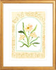 The "Botanical Rainbow Orange" Fine Art Print - Liza Pruitt