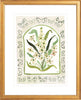 The "Botanical Rainbow Taupe" Fine Art Print - Liza Pruitt