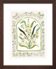 The "Botanical Rainbow Taupe" Fine Art Print - Liza Pruitt