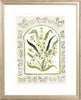 The "Botanical Rainbow Taupe" Fine Art Print - Liza Pruitt