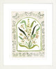 The "Botanical Rainbow Taupe" Fine Art Print - Liza Pruitt