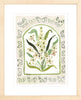The "Botanical Rainbow Taupe" Fine Art Print - Liza Pruitt