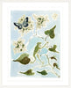 The "Botanical Sky No. 2" Garden Party Series, Fine Art Print - Liza Pruitt