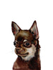 The Chihuahua - Open Edition Paper Print - Liza Pruitt