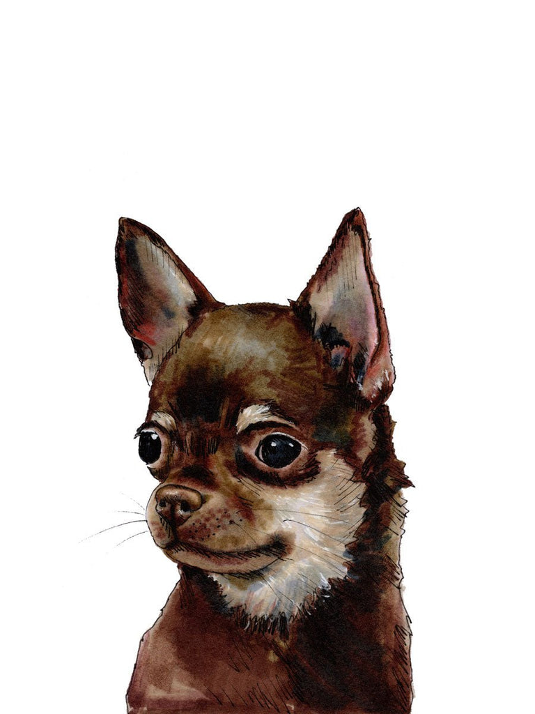 The Chihuahua - Open Edition Paper Print - Liza Pruitt