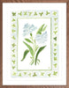 The "Clover Charms" Watercolor Fine Art Print, Flower Charm Series - Liza Pruitt
