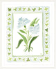 The "Clover Charms" Watercolor Fine Art Print, Flower Charm Series - Liza Pruitt