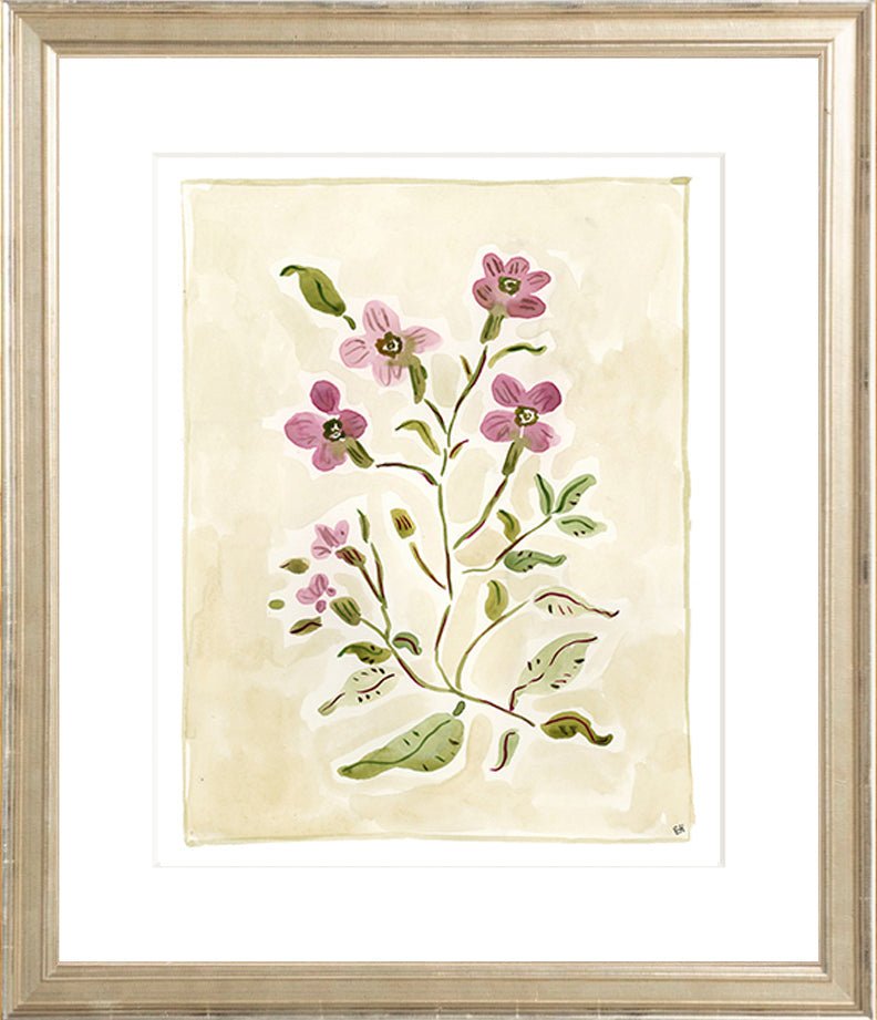 The "Cosmos Conservatory" Florilegium Series, Fine Art Print - Liza Pruitt