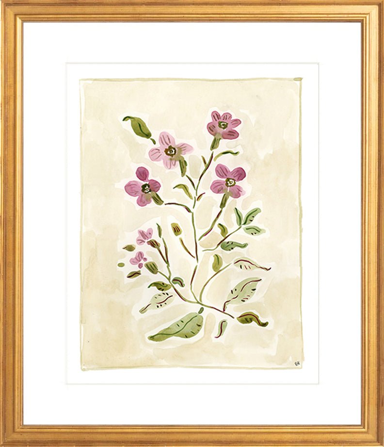 The "Cosmos Conservatory" Florilegium Series, Fine Art Print - Liza Pruitt