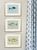 The "Deep Sea Plaids No. 3" Watercolor Fish Fine Art Print - Liza Pruitt