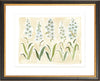 The "Delphinium" Florilegium Series, Fine Art Print - Liza Pruitt