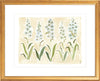 The "Delphinium" Florilegium Series, Fine Art Print - Liza Pruitt