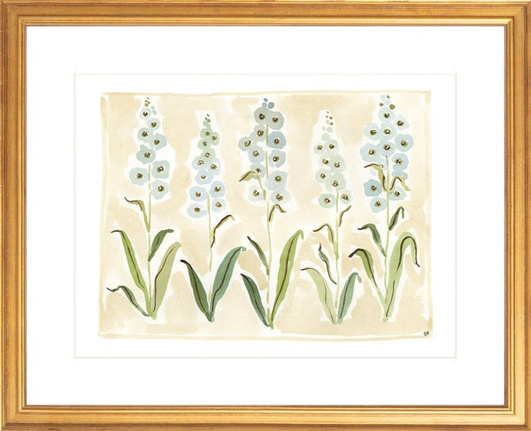 The "Delphinium" Florilegium Series, Fine Art Print - Liza Pruitt