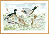 The "Duck Season" Fine Art Print - Liza Pruitt