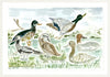 The "Duck Season" Fine Art Print - Liza Pruitt
