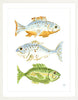 The "Fish School No. 3" Watercolor Fish Fine Art Print - Liza Pruitt