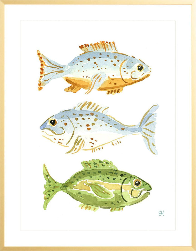 The "Fish School No. 3" Watercolor Fish Fine Art Print - Liza Pruitt