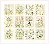 The "Florilegium Garden" Florilegium Series, Fine Art Print - Liza Pruitt