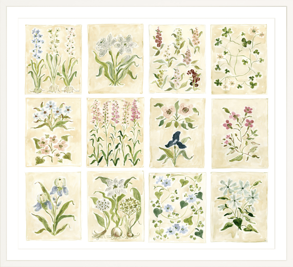 The "Florilegium Garden" Florilegium Series, Fine Art Print - Liza Pruitt