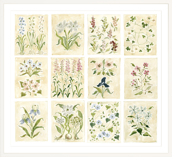 The "Florilegium Garden" Florilegium Series, Fine Art Print - Liza Pruitt