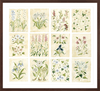The "Florilegium Garden" Florilegium Series, Fine Art Print - Liza Pruitt
