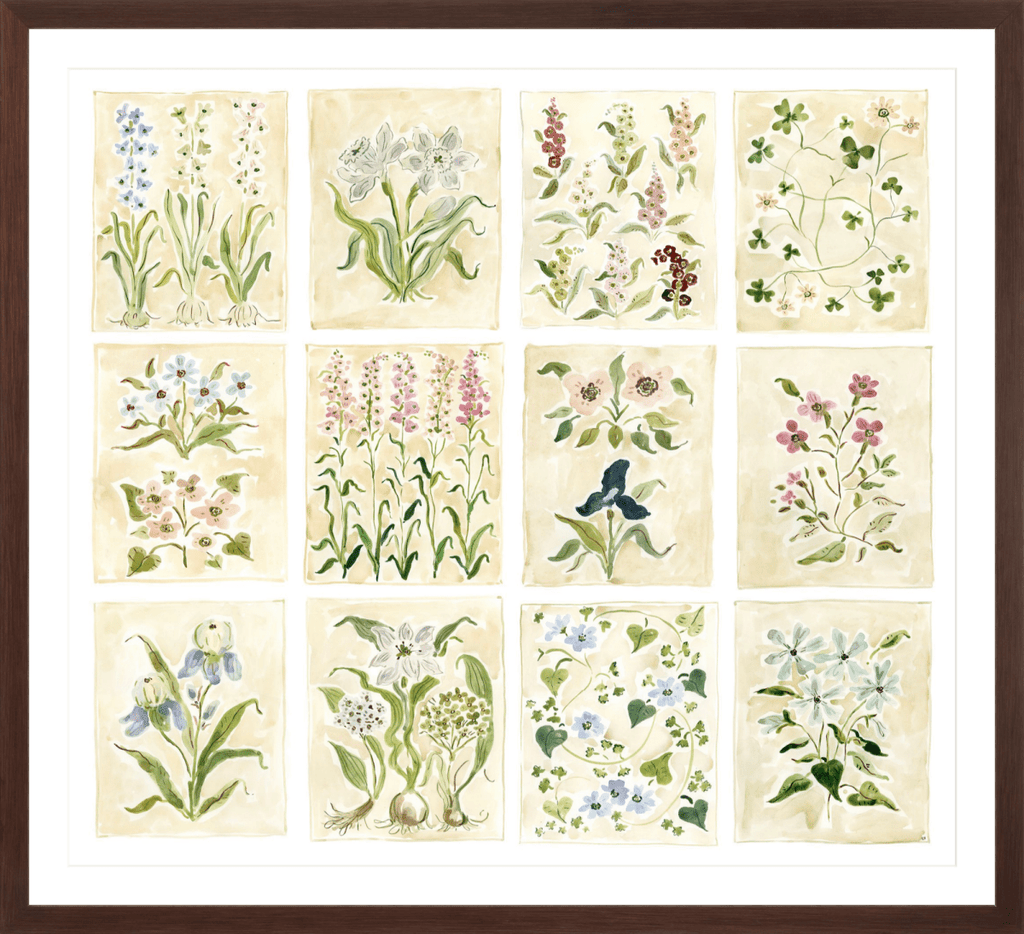 The "Florilegium Garden" Florilegium Series, Fine Art Print - Liza Pruitt