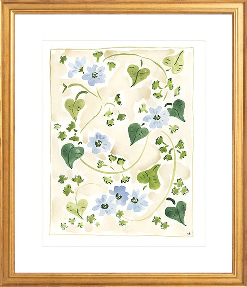 The "Forget me Nots" Florilegium Series, Fine Art Print - Liza Pruitt