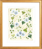 The "Forget me Nots" Florilegium Series, Fine Art Print - Liza Pruitt