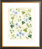 The "Forget me Nots" Florilegium Series, Fine Art Print - Liza Pruitt