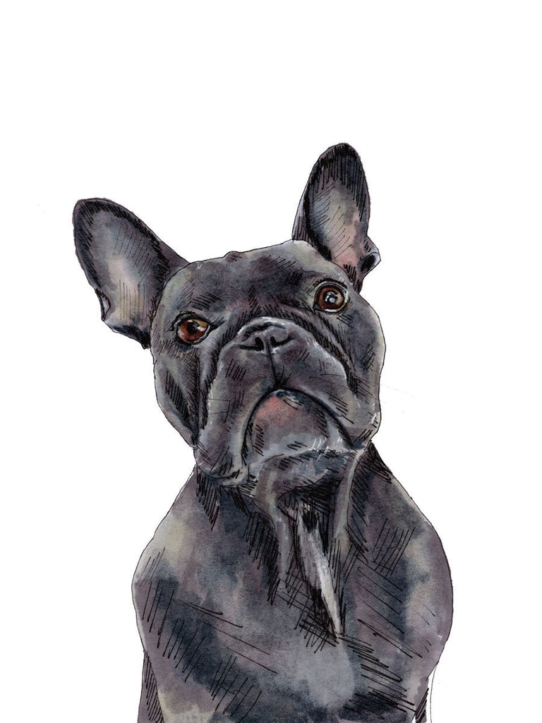 The Frenchie - Open Edition Paper Print - Liza Pruitt