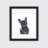 The Frenchie - Open Edition Paper Print - Liza Pruitt