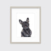 The Frenchie - Open Edition Paper Print - Liza Pruitt