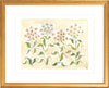 The "Gilded Garden" Florilegium Series, Fine Art Print - Liza Pruitt