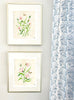The "Golden Hour Botanical No. 2" Fine Art Print - Liza Pruitt