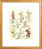 The "Herbarium Reds" Florilegium Series, Fine Art Print - Liza Pruitt