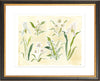The "Herbarium Whites" Florilegium Series, Fine Art Print - Liza Pruitt