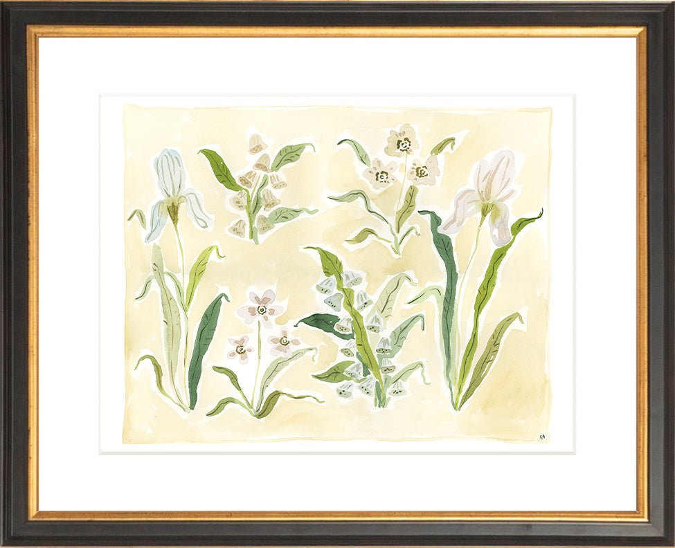 The "Herbarium Whites" Florilegium Series, Fine Art Print - Liza Pruitt