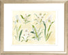 The "Herbarium Whites" Florilegium Series, Fine Art Print - Liza Pruitt
