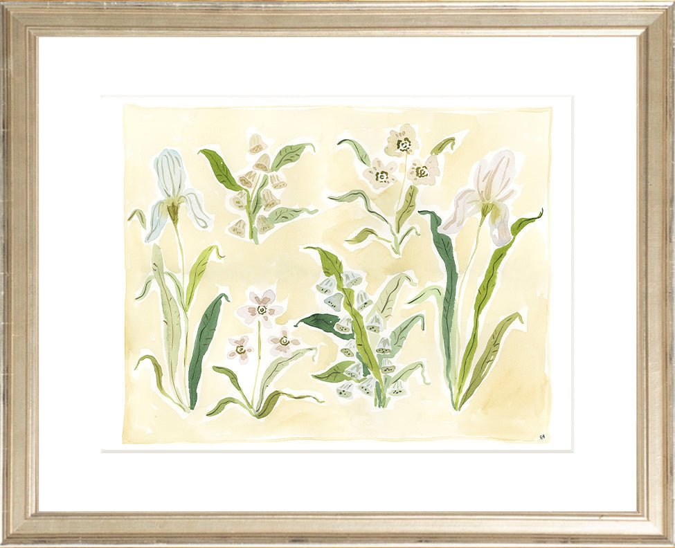 The "Herbarium Whites" Florilegium Series, Fine Art Print - Liza Pruitt