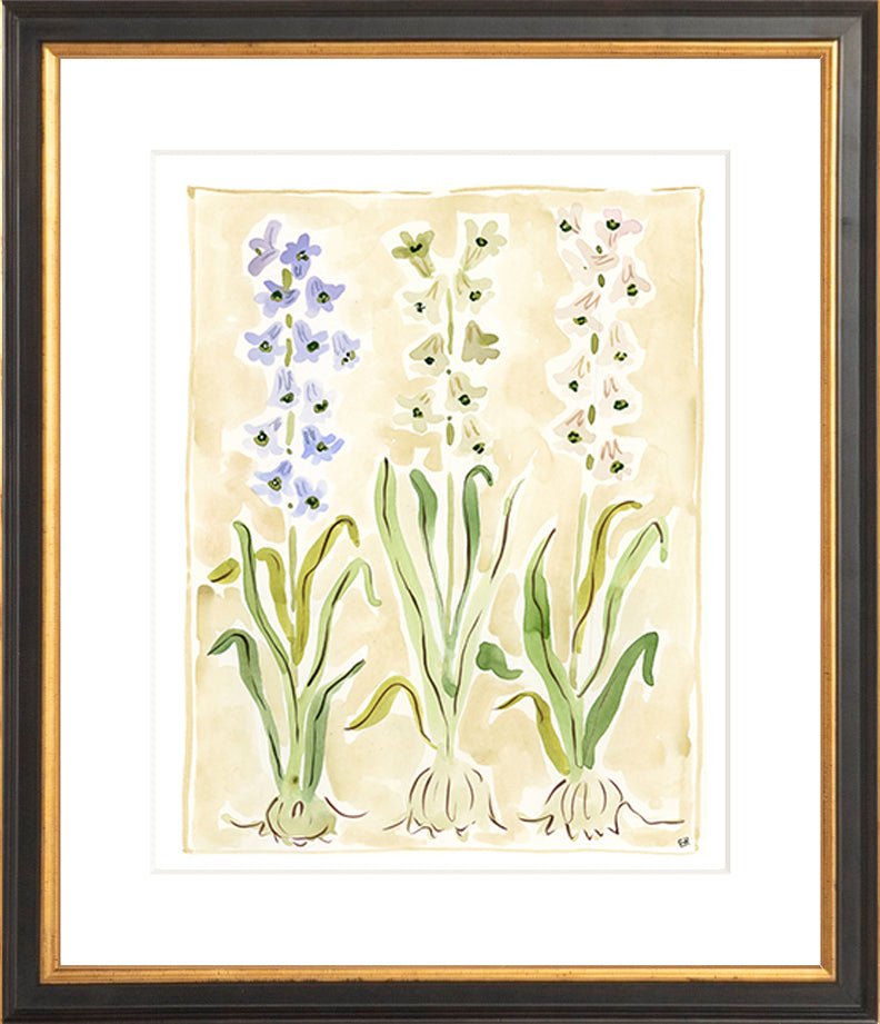 The "Hyacinth" Florilegium Series, Fine Art Print - Liza Pruitt