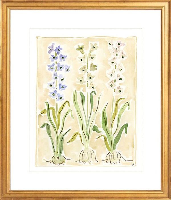 The "Hyacinth" Florilegium Series, Fine Art Print - Liza Pruitt