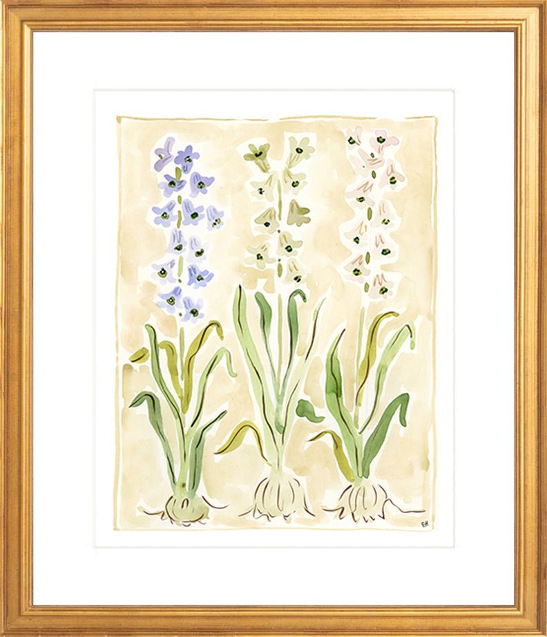 The "Hyacinth" Florilegium Series, Fine Art Print - Liza Pruitt