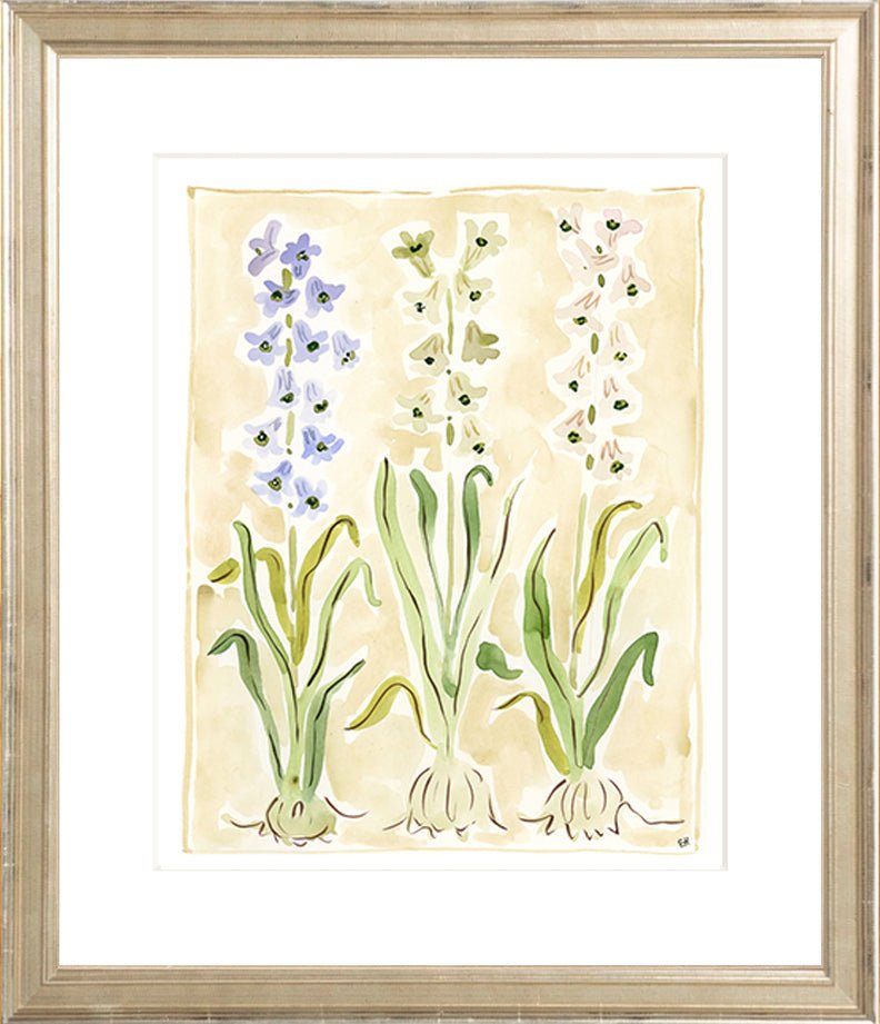 The "Hyacinth" Florilegium Series, Fine Art Print - Liza Pruitt