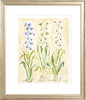The "Hyacinth" Florilegium Series, Fine Art Print - Liza Pruitt