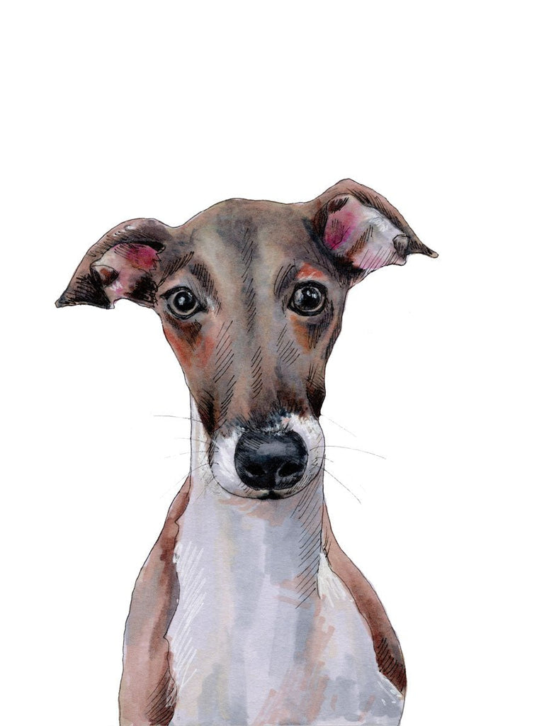 The Iggy - Open Edition Paper Print - Liza Pruitt