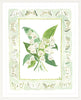 The "Lily of the Valley Charms" Watercolor Fine Art Print, Flower Charm Series - Liza Pruitt